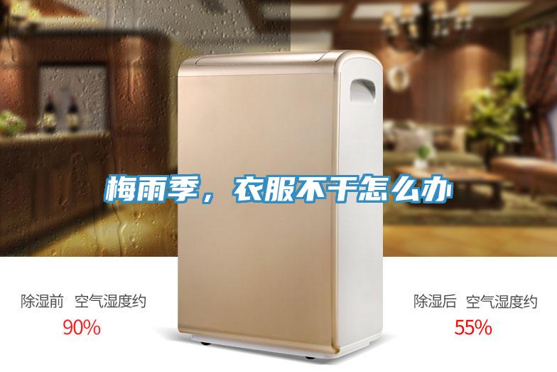 梅雨季，衣服不干怎么办