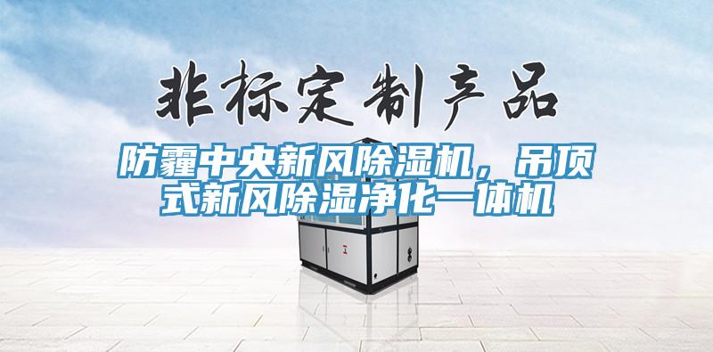 防霾中央新风除湿机，吊顶式新风除湿净化一体机