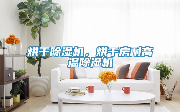 烘干除湿机,烘干房耐高温除湿机
