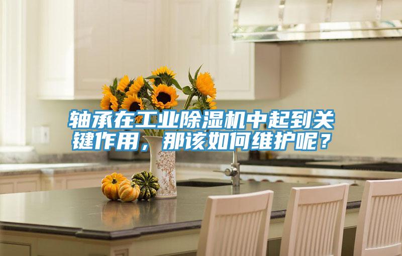 轴承在工业除湿机中起到关键作用，那该如何维护呢？