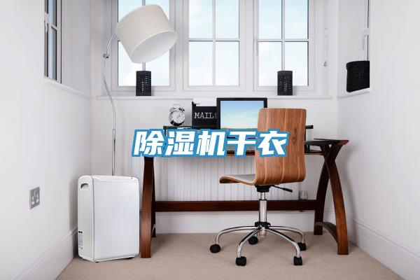 除湿机干衣