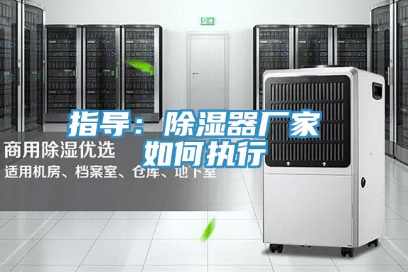指导：除湿器厂家 如何执行