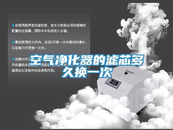 空气净化器的滤芯多久换一次