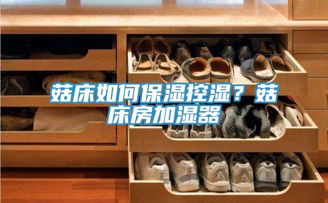 菇床如何保湿控湿？菇床房加湿器