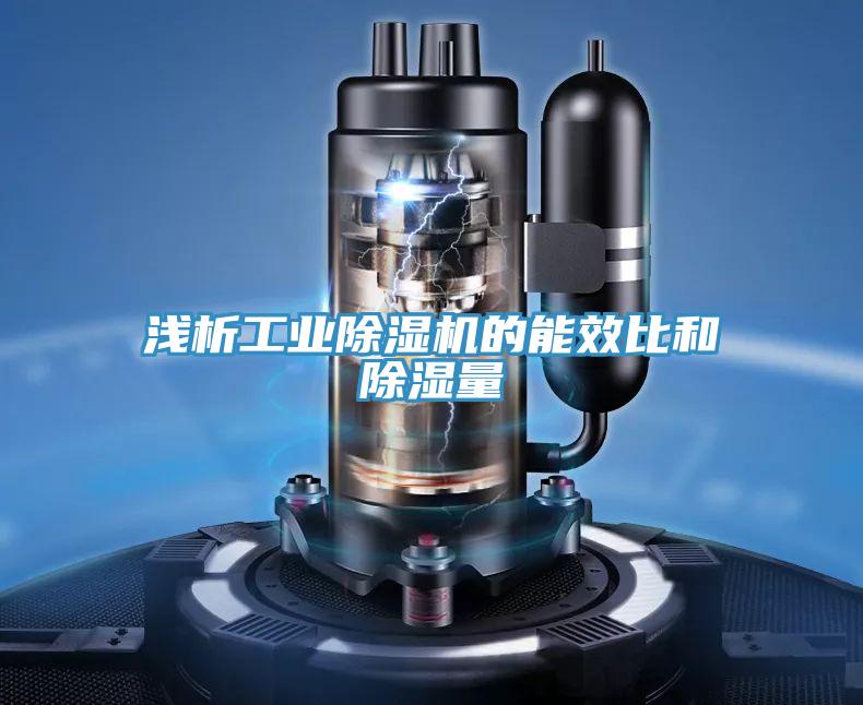 浅析工业除湿机的能效比和除湿量
