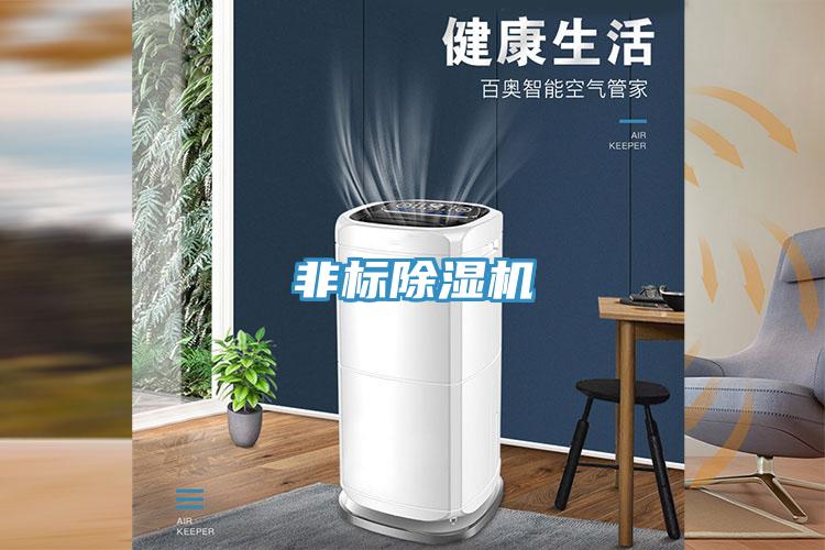 非标除湿机