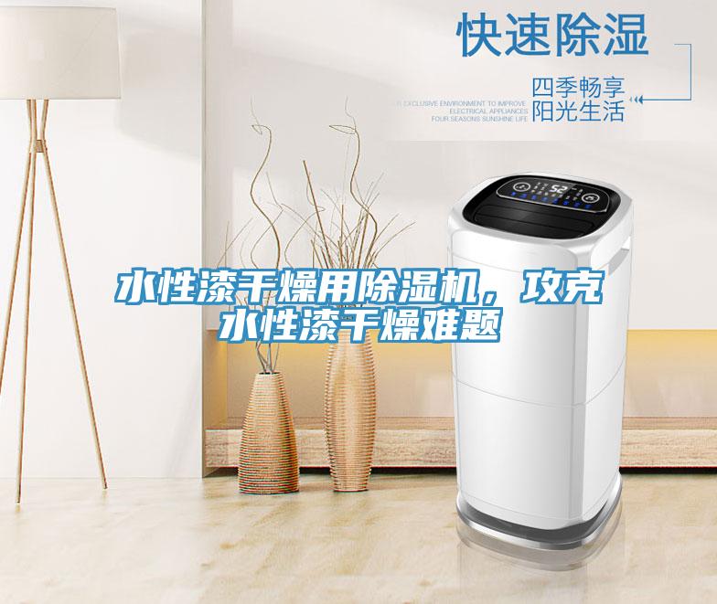 水性漆干燥用除湿机，攻克水性漆干燥难题