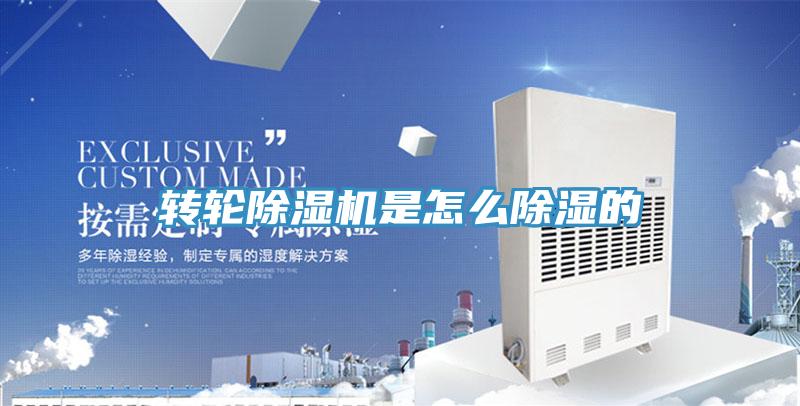 转轮除湿机是怎么除湿的