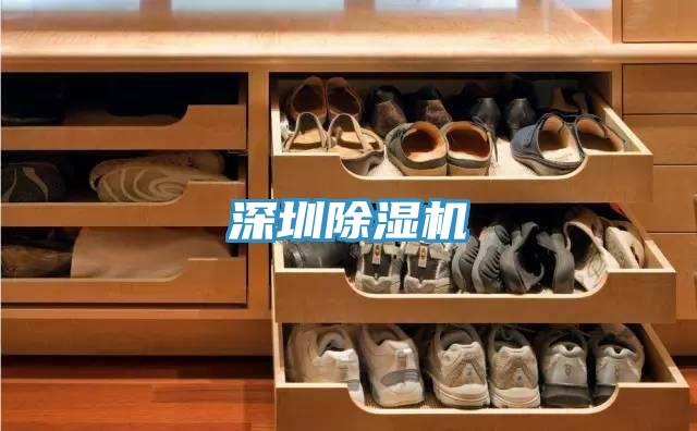 深圳除湿机