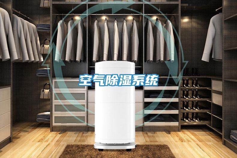空气除湿系统