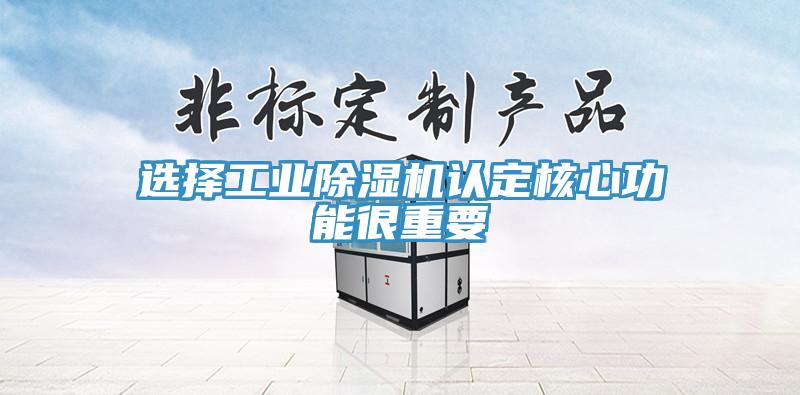 选择工业除湿机认定核心功能很重要