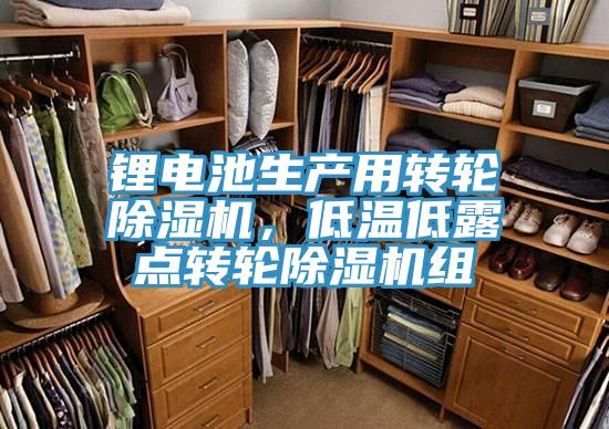 锂电池生产用转轮除湿机，低温低露点转轮除湿机组