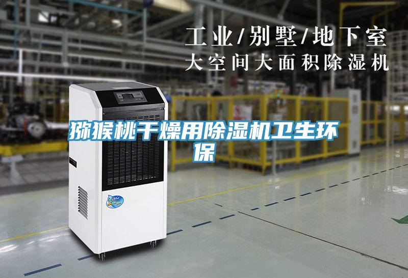 猕猴桃干燥用除湿机卫生环保