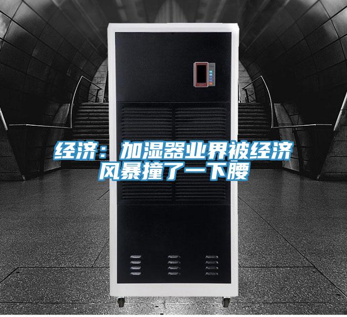经济：加湿器业界被经济风暴撞了一下腰