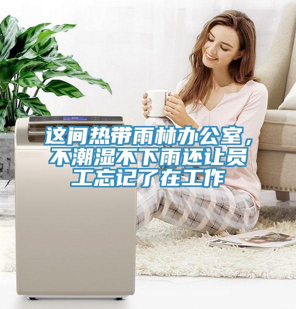 这间热带雨林办公室，不潮湿不下雨还让员工忘记了在工作