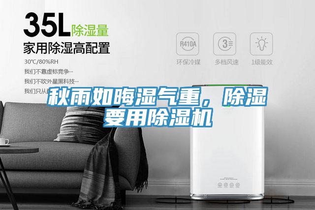 秋雨如晦湿气重，除湿要用除湿机