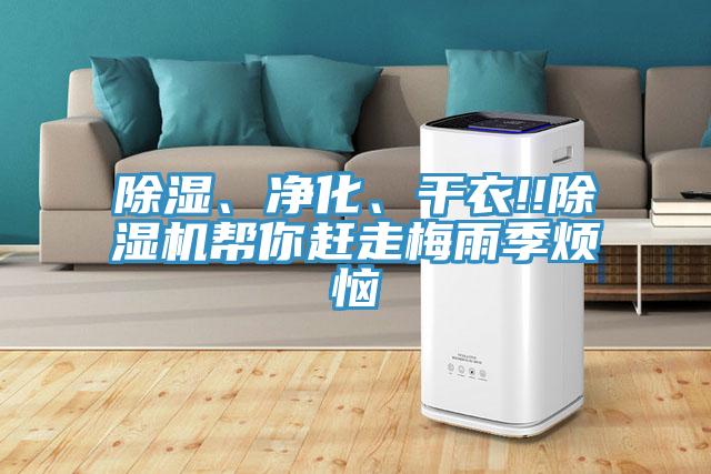 除湿、净化、干衣!!除湿机帮你赶走梅雨季烦恼