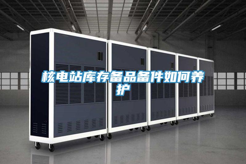 核电站库存备品备件如何养护