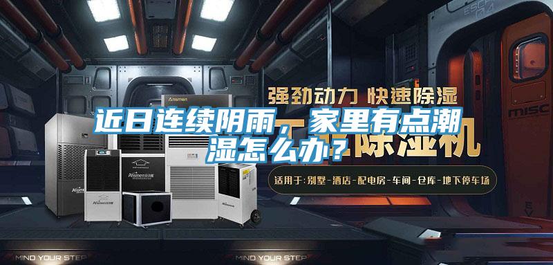近日连续阴雨，家里有点潮湿怎么办？
