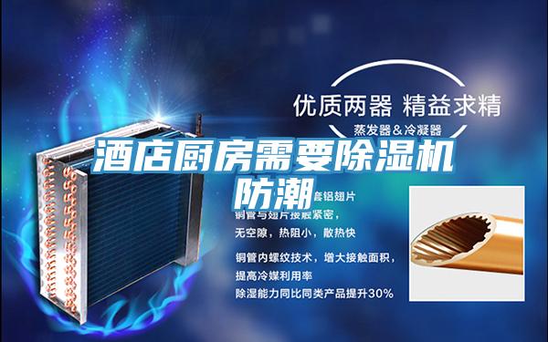 酒店厨房需要除湿机防潮