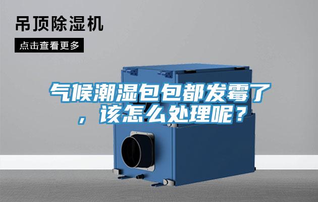 气候潮湿包包都发霉了，该怎么处理呢？