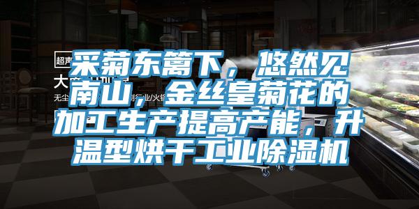 采菊东篱下，悠然见南山，金丝皇菊花的加工生产提高产能，升温型烘干工业除湿机