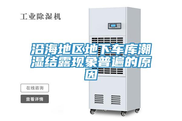 沿海地区地下车库潮湿结露现象普遍的原因
