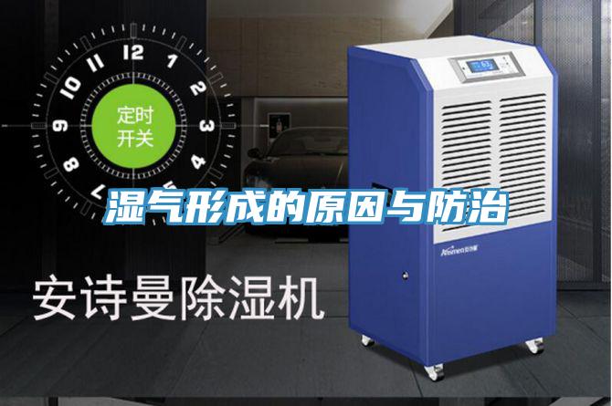 湿气形成的原因与防治