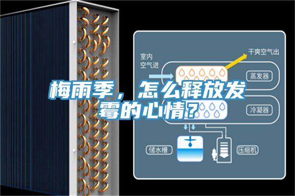 梅雨季，怎么释放发霉的心情？