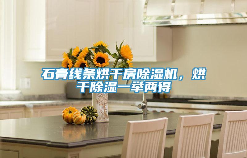 石膏线条烘干房除湿机,烘干除湿一举两得