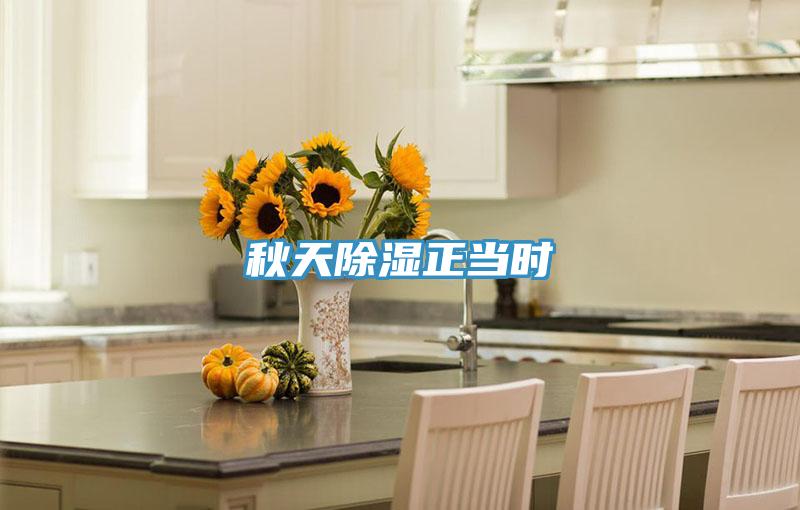 秋天除湿正当时