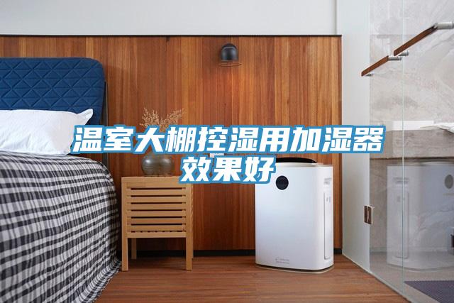 温室大棚控湿用加湿器效果好