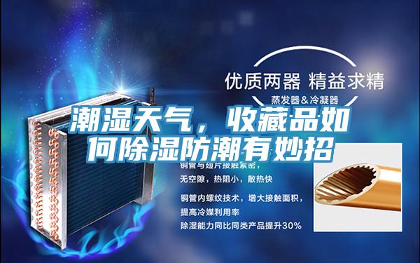 潮湿天气，收藏品如何除湿防潮有妙招