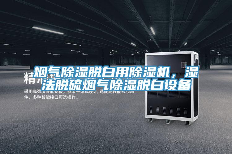 烟气除湿脱白用除湿机，湿法脱硫烟气除湿脱白设备