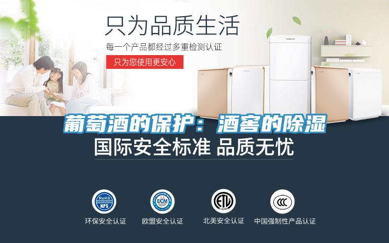 葡萄酒的保护:酒窖的除湿