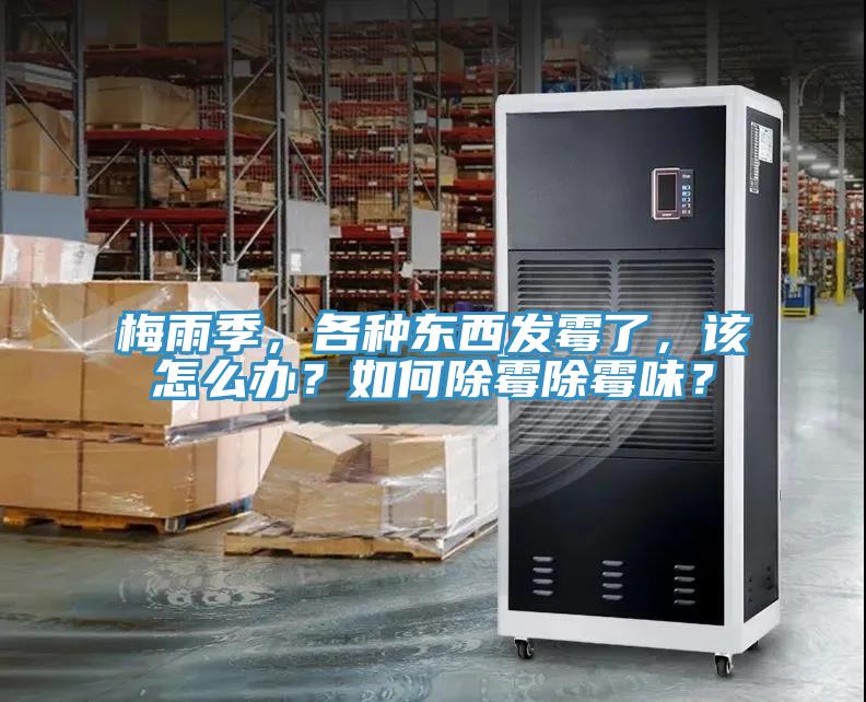 梅雨季，各种东西发霉了，该怎么办？如何除霉除霉味？