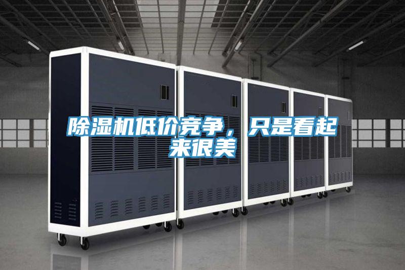除湿机低价竞争，只是看起来很美