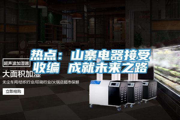 热点：山寨电器接受收编 成就未来之路