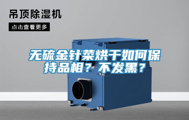 无硫金针菜烘干如何保持品相？不发黑？