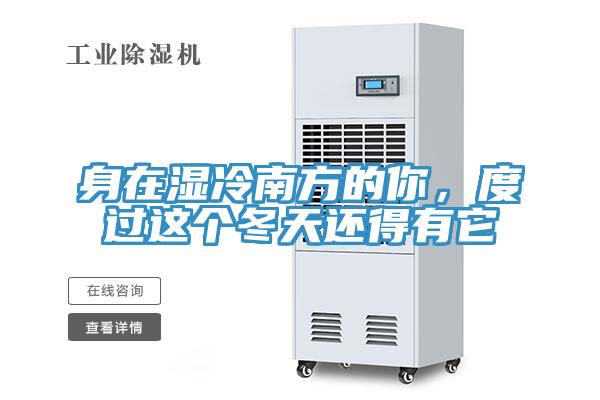 身在湿冷南方的你，度过这个冬天还得有它