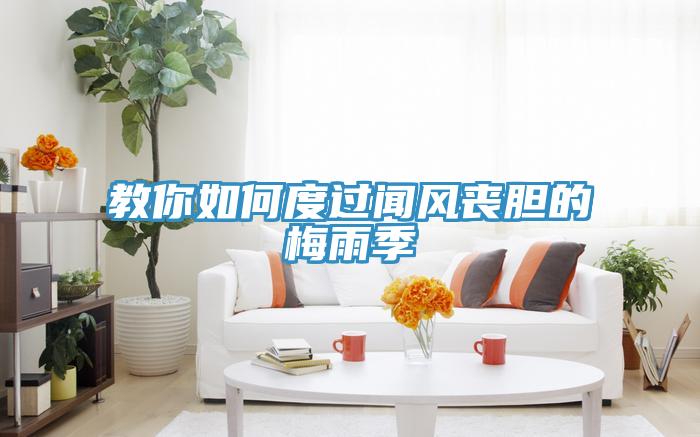 教你如何度过闻风丧胆的梅雨季