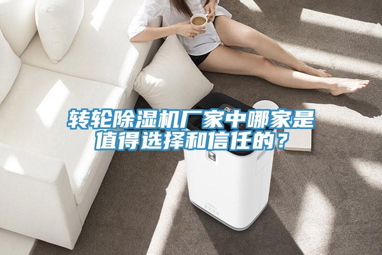 转轮除湿机厂家中哪家是值得选择和信任的?