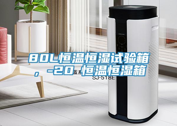 80L恒温恒湿试验箱,-20℃恒温恒湿箱