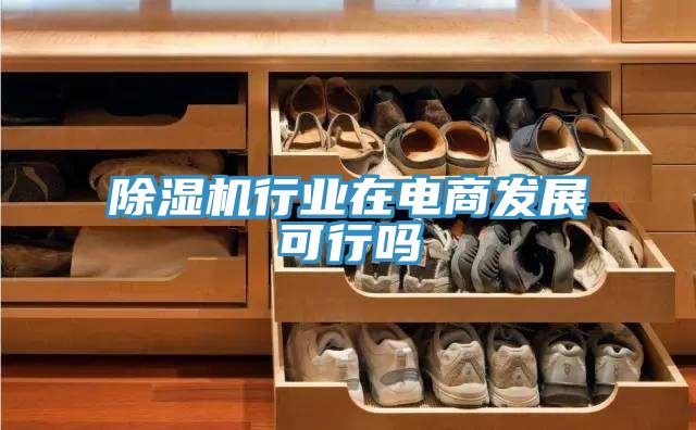 除湿机行业在电商发展可行吗
