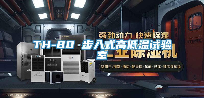 TH-80 步入式高低温试验室