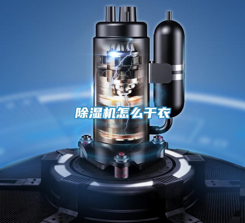 除湿机怎么干衣