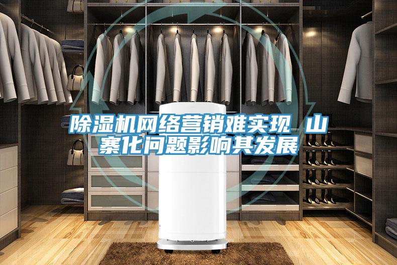 除湿机网络营销难实现 山寨化问题影响其发展