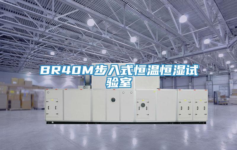BR40M步入式恒温恒湿试验室