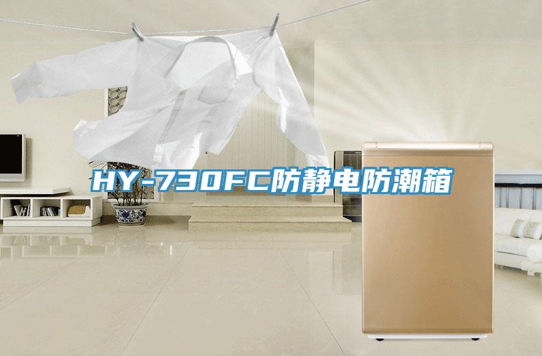 HY-730FC防静电防潮箱