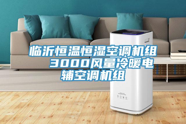临沂恒温恒湿空调机组  3000风量冷暖电辅空调机组